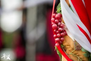 2017 sonntag 4047
