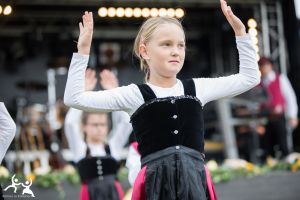 2017 sonntag 4165