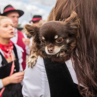 Kirmes2015 Sonntag 9981